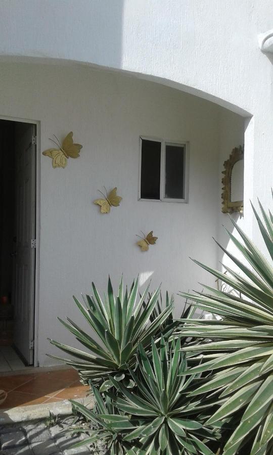 דירות קנקון Casa Mariposas מראה חיצוני תמונה